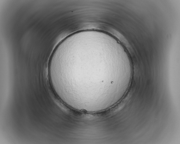 X0000111131234200907141204