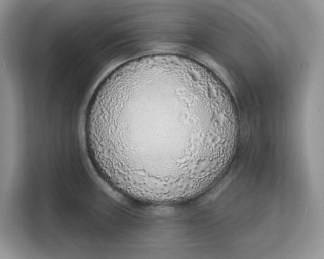 X0000111131235200907141204