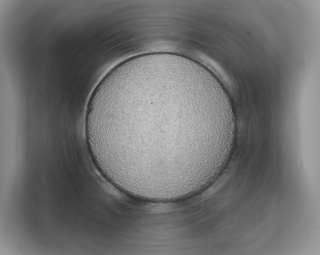 X0000111131236200907141204