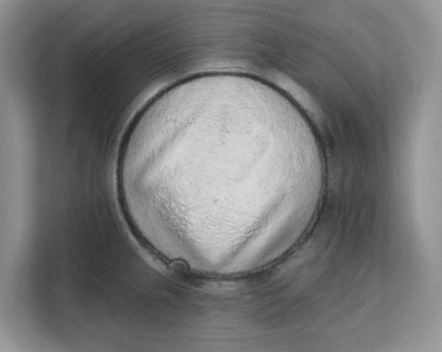 X0000111131237200907141204