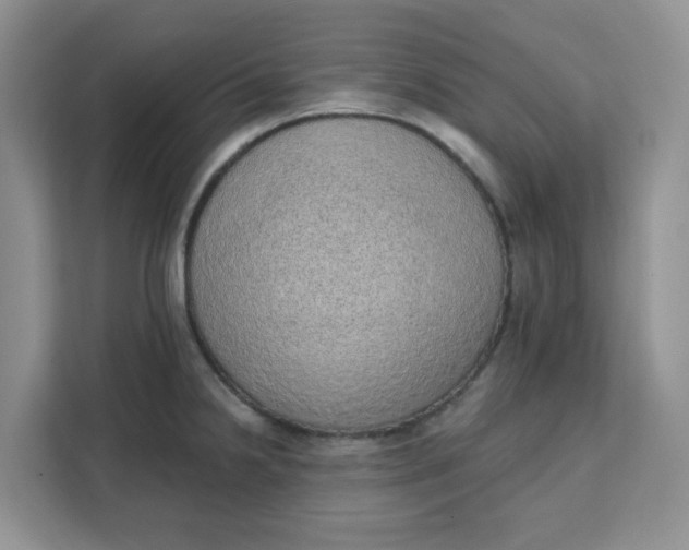 X0000111131238200907141204
