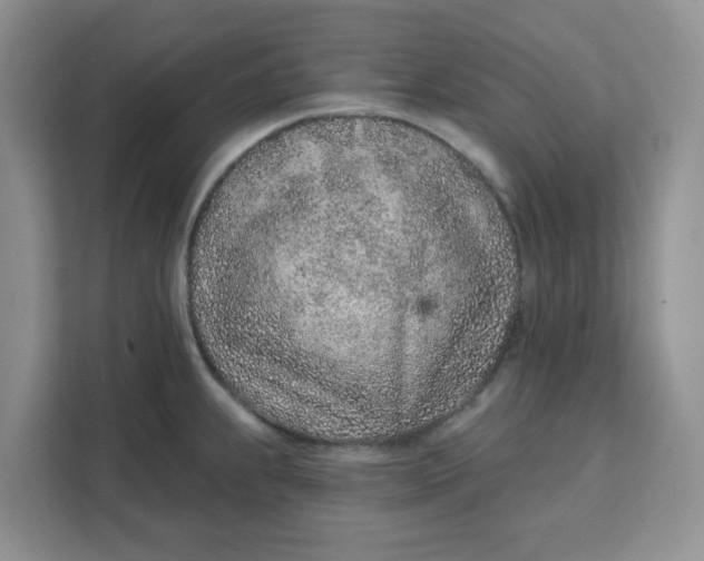 X0000111131239200907141204
