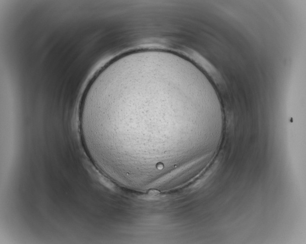 X0000111131240200907141204