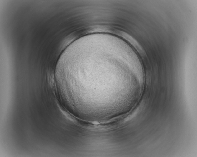 X0000111131241200907141204
