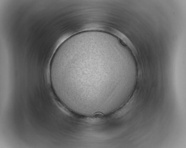 X0000111131242200907141204