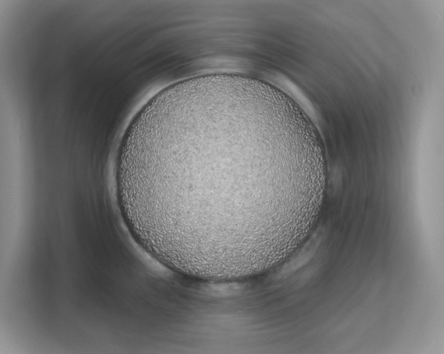 X0000111131243200907141204