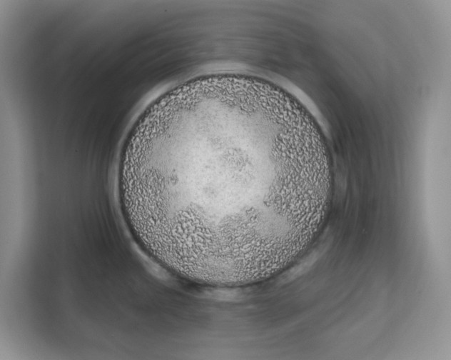 X0000111131245200907141204