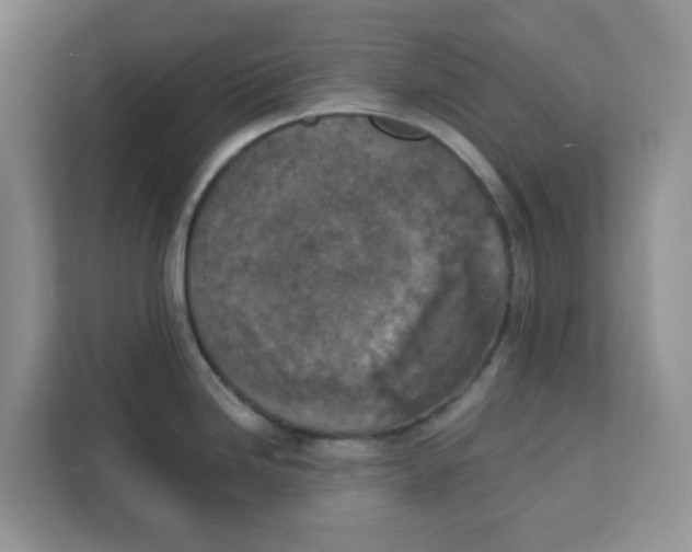 X0000111131246200907141204