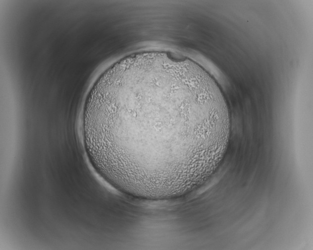 X0000111131247200907141204