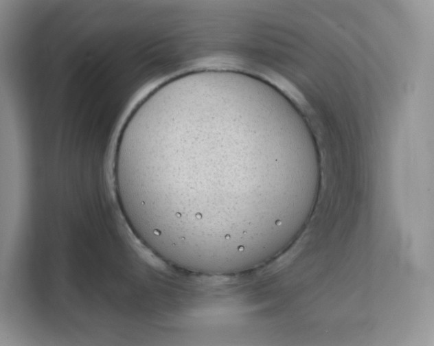 X0000111131248200907141204