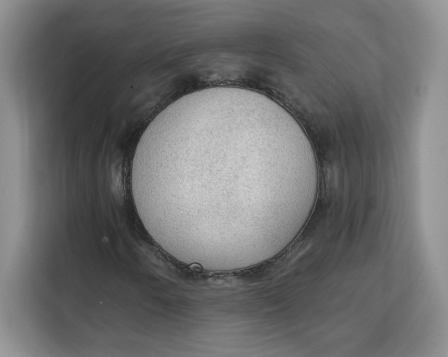 X0000111131250200907141204