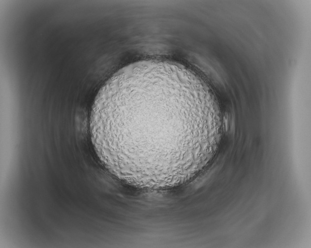 X0000111131251200907141204