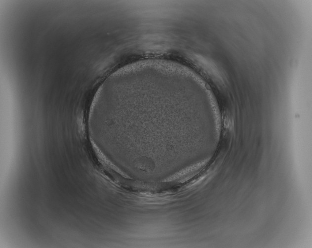 X0000111131252200907141204