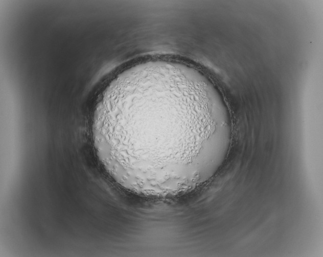 X0000111131255200907141204