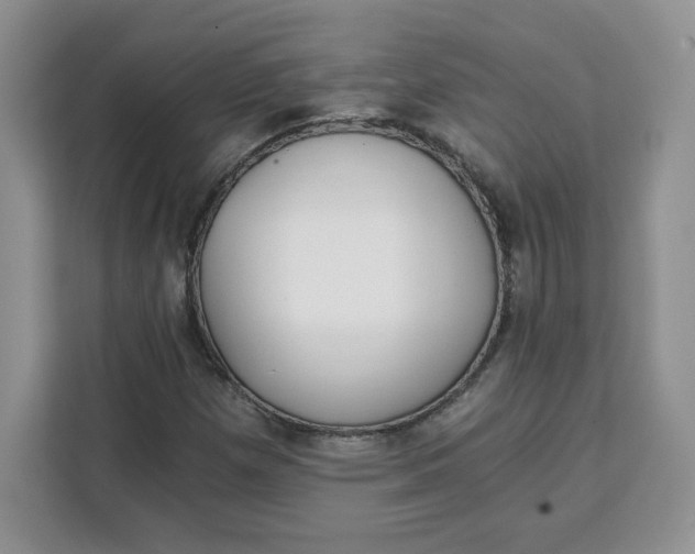 X0000111131257200907141204