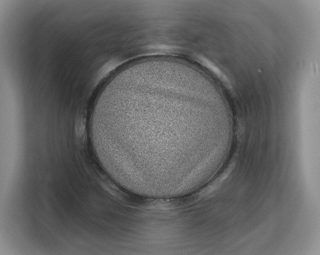 X0000111131259200907141204