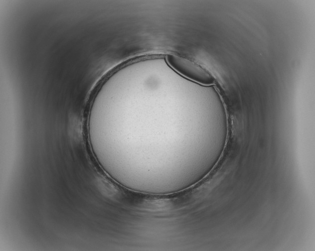 X0000111131260200907141204