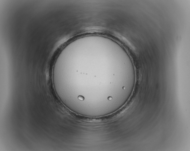 X0000111131261200907141204