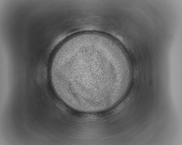 X0000111131263200907141204