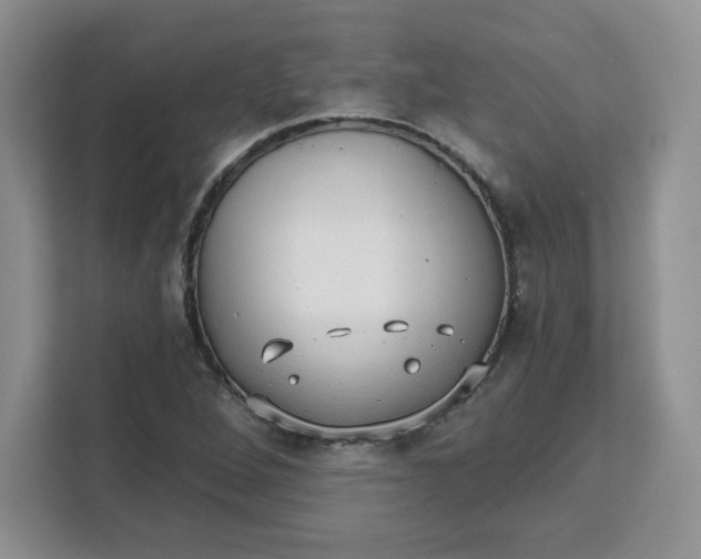 X0000111131264200907141204