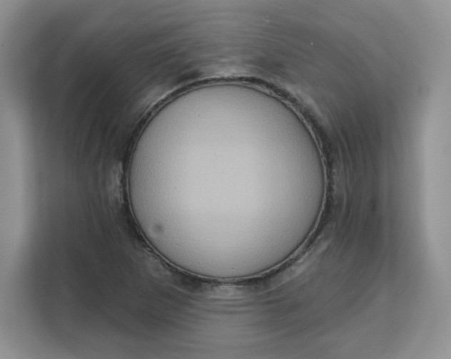X0000111131265200907141204