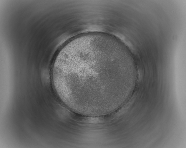 X0000111131266200907141204