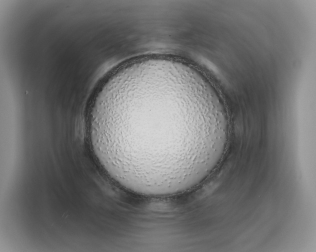 X0000111131267200907141204