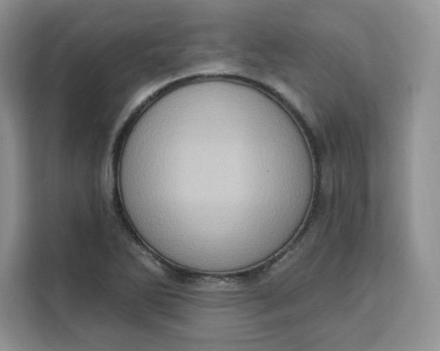 X0000111131270200907141203