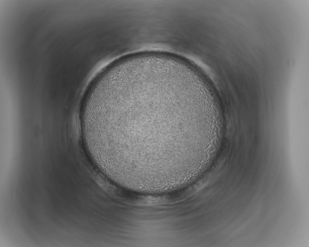 X0000111131271200907141203