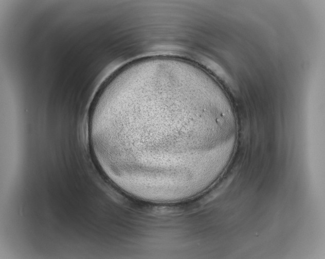 X0000111131275200907141203
