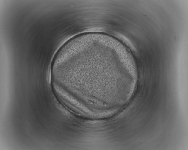 X0000111131276200907141203