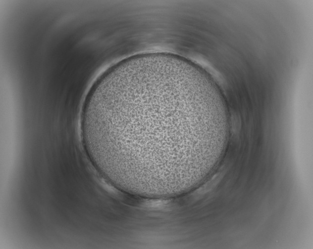 X0000111131278200907141203