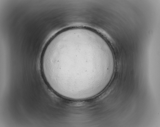 X0000111131279200907141203