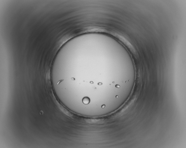 X0000111131281200907141203