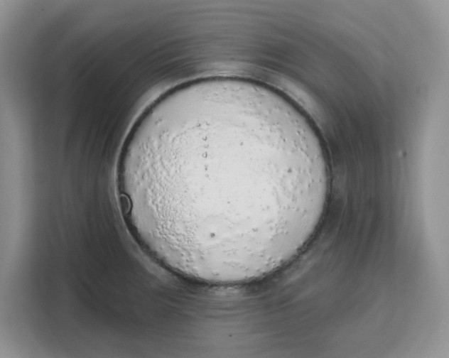 X0000111131283200907141203