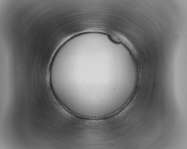 X0000111131284200907141203