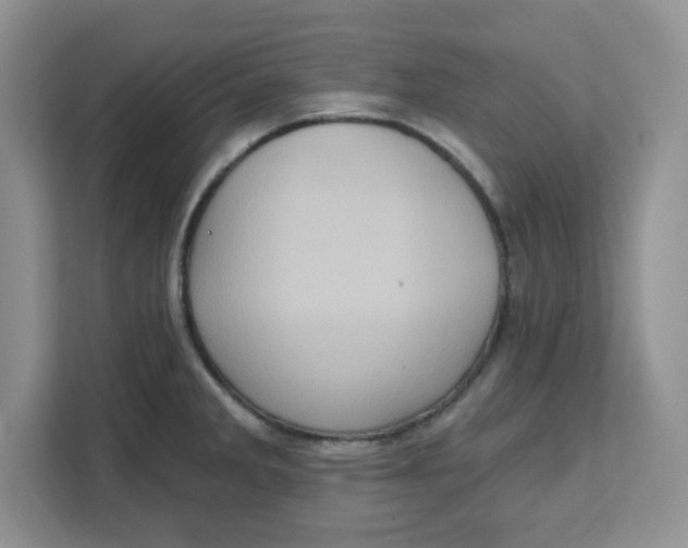 X0000111131285200907141203