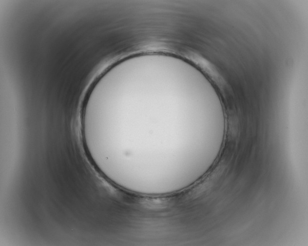 X0000111131286200907141203