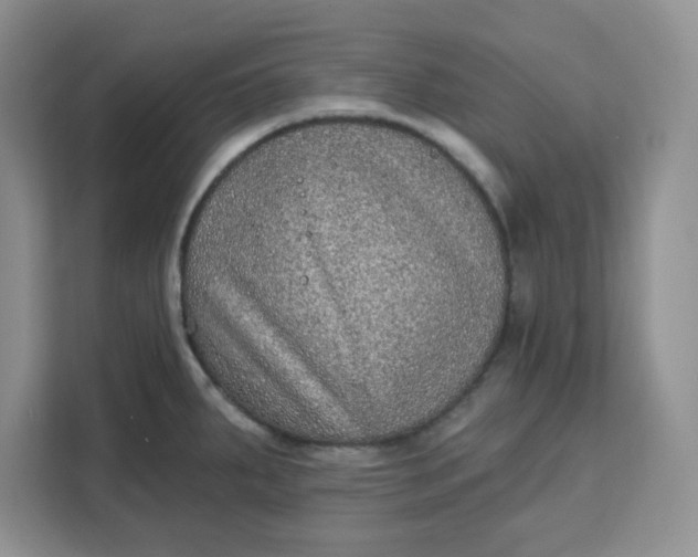 X0000111131287200907141203
