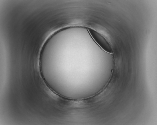 X0000111131288200907141203