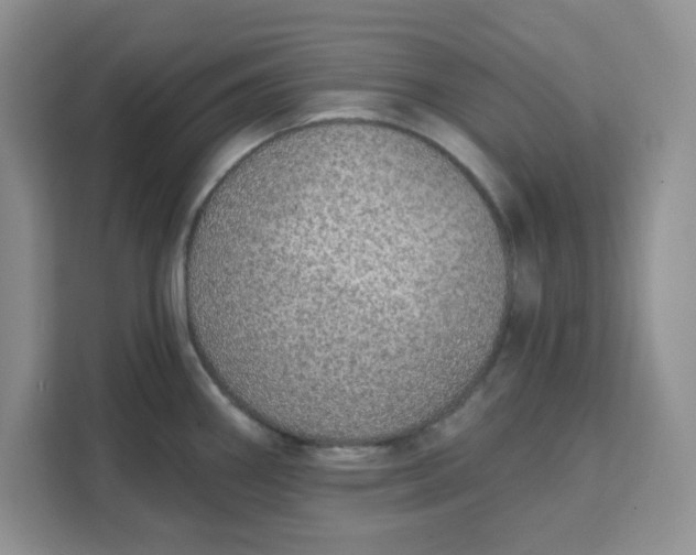 X0000111131290200907141203