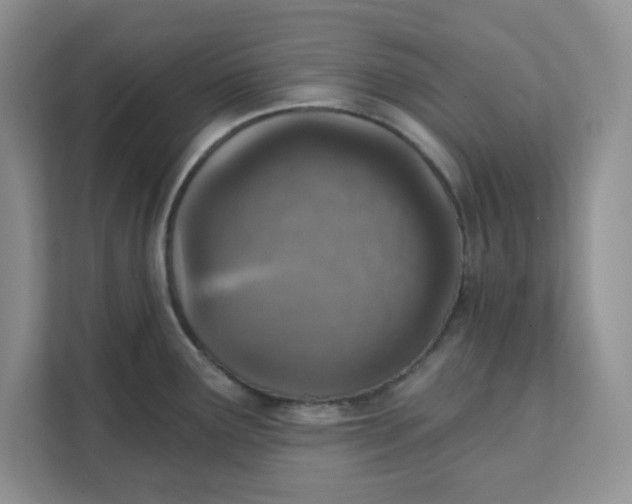 X0000111131291200907141203