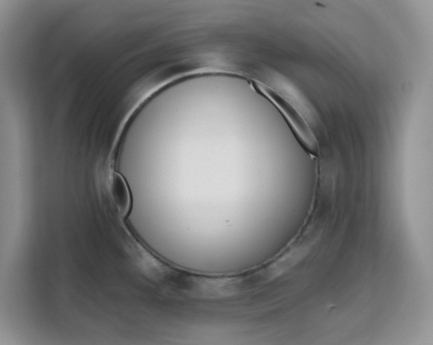 X0000111131292200907141203