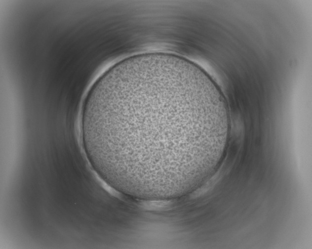 X0000111131294200907141203