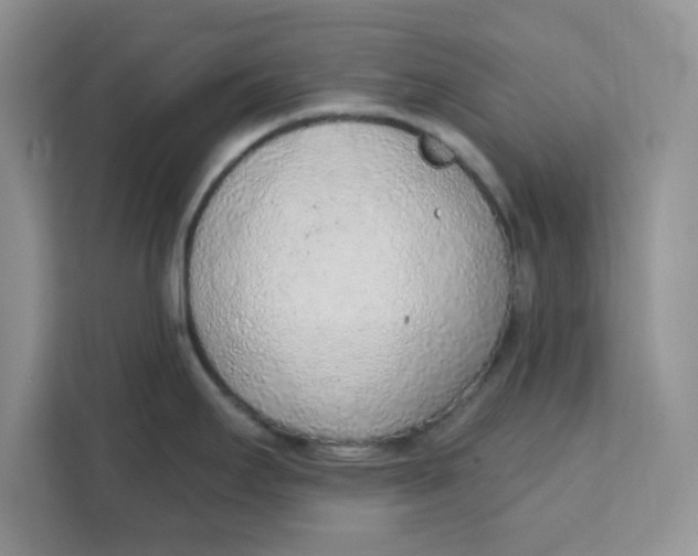 X0000111131295200907141203