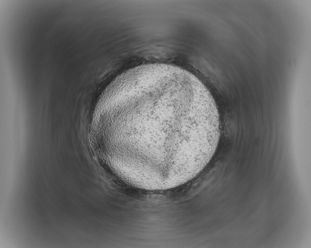 X0000111131297200907141203