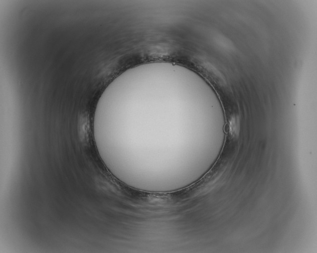 X0000111131299200907141203