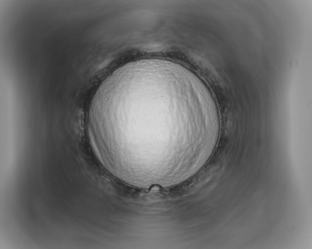 X0000111131301200907141203
