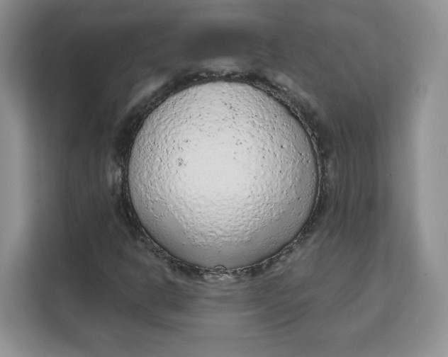 X0000111131302200907141203