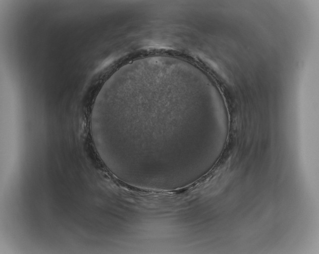 X0000111131303200907141203